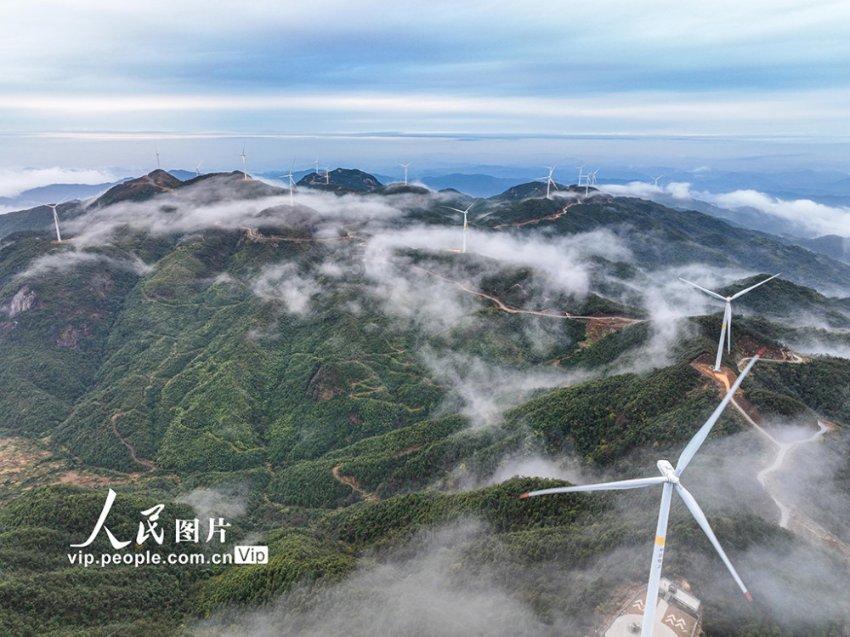 酸汤肥牛面怎么做才好吃呢？游戏画面